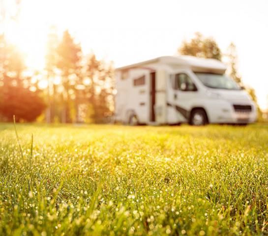 Camping de la forest de landerneau